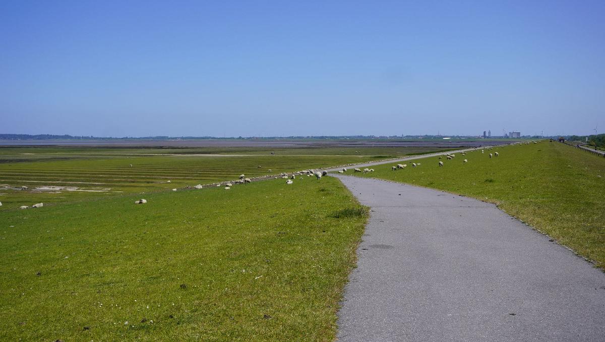 Schleswig-Holstein-013