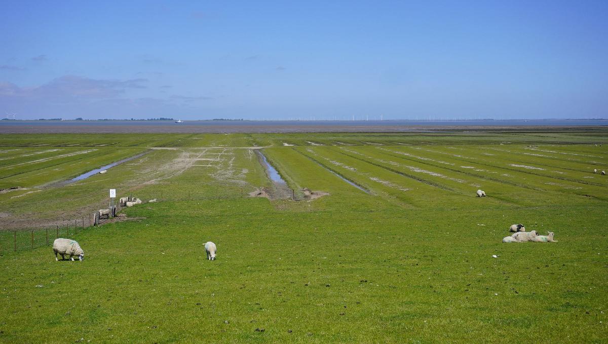 Schleswig-Holstein-014