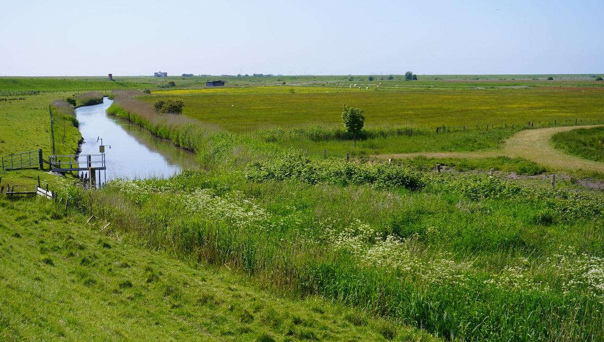 Schleswig-Holstein-054