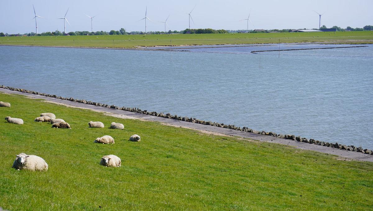 Schleswig-Holstein-056