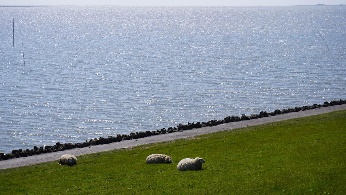Schleswig-Holstein-057