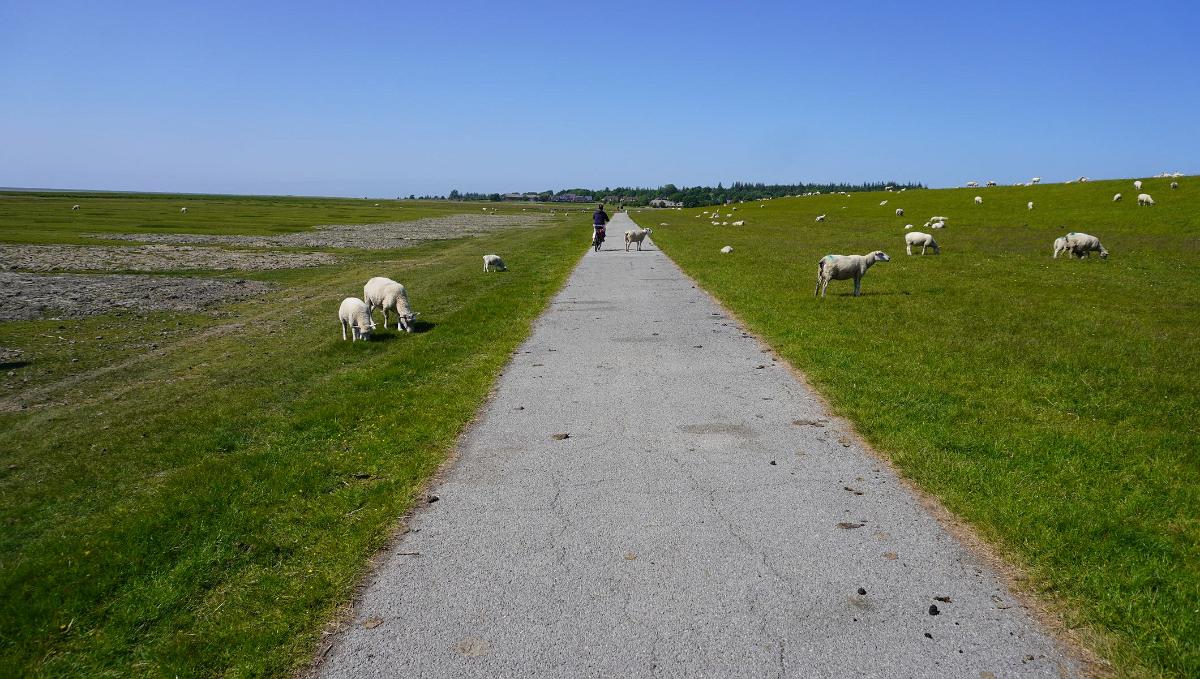 Schleswig-Holstein-067