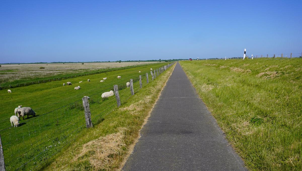 Schleswig-Holstein-078