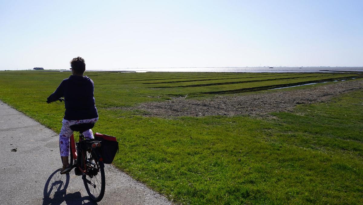 Schleswig-Holstein-079