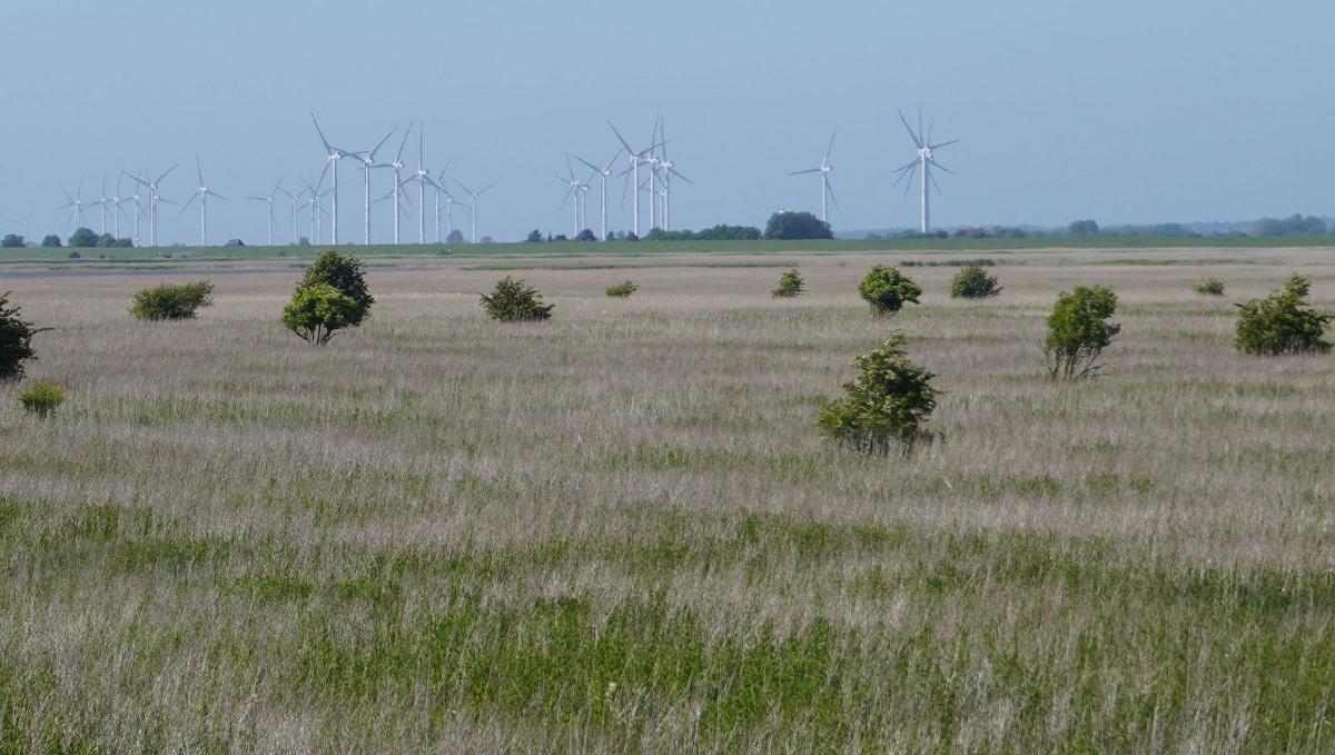 Schleswig-Holstein-081
