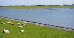 Schleswig-Holstein-056