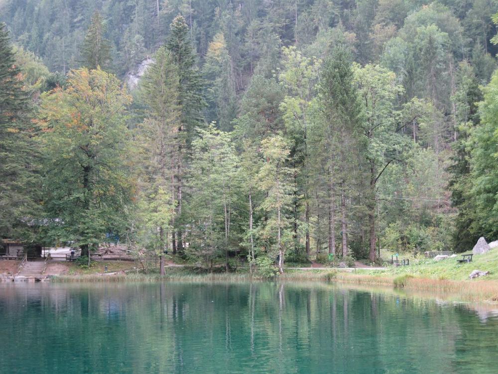 IMG 0803