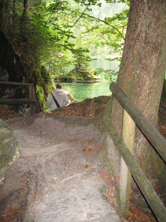 IMG 0809