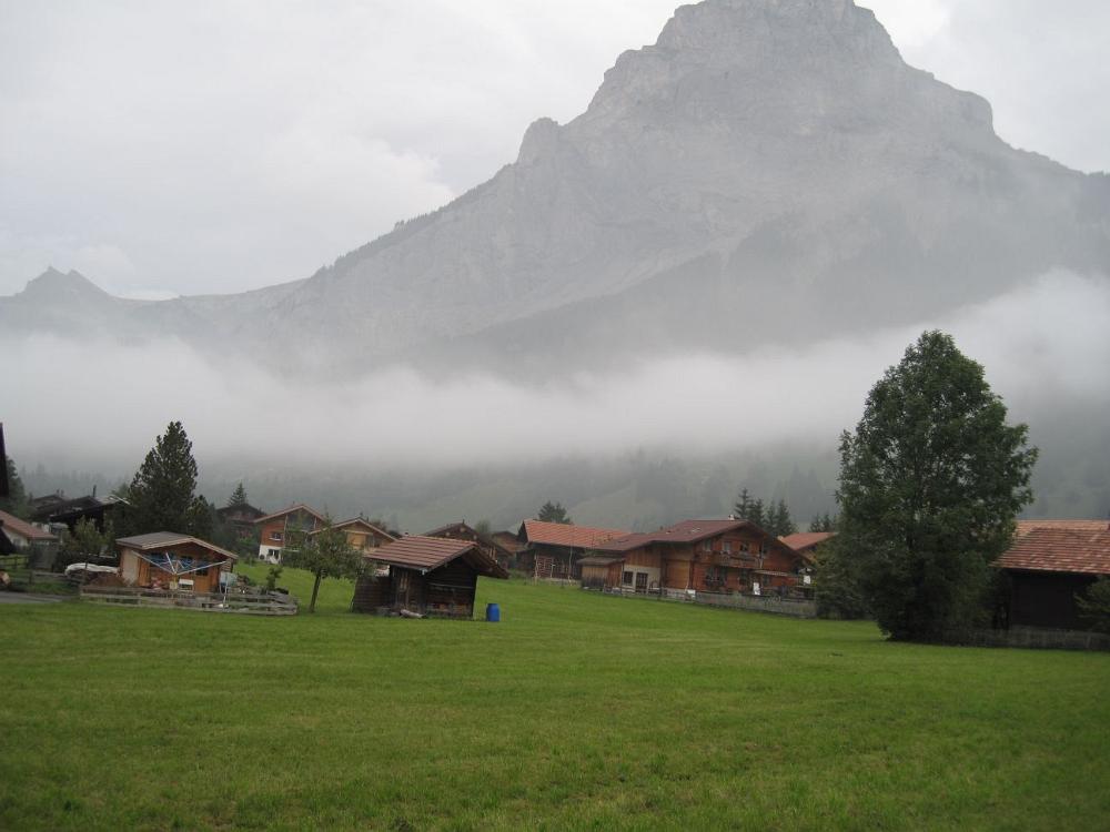 IMG 0849