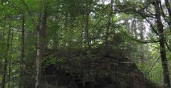 IMG 0793