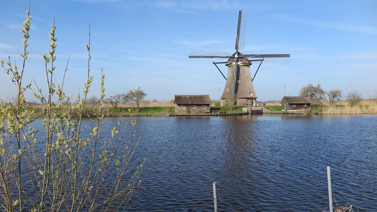 IMG 0988
