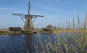 IMG 0996