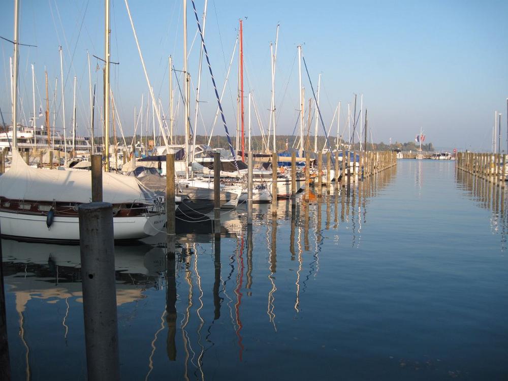 IMG 4431