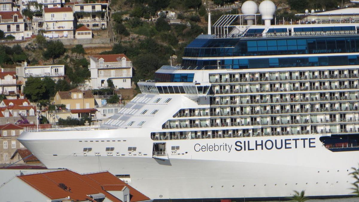 Celebrity-Silhouette