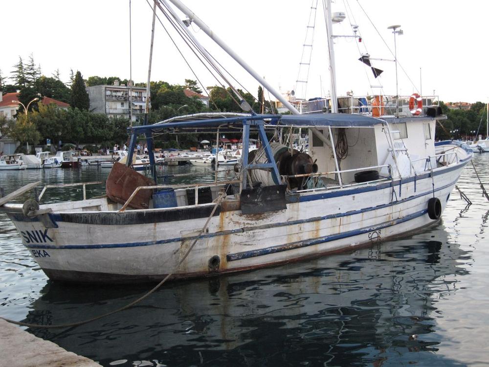 IMG 0617
