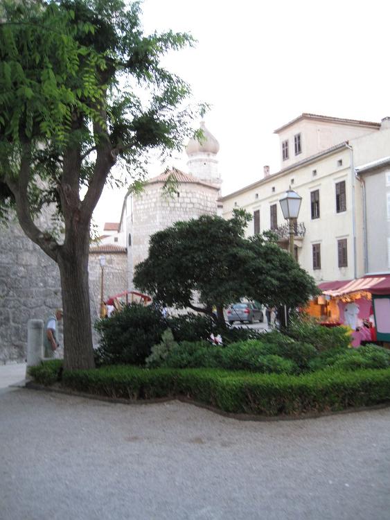 IMG 0623