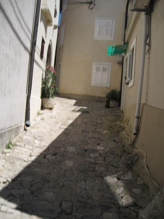 IMG 0732