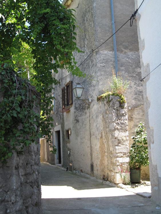 IMG 0749