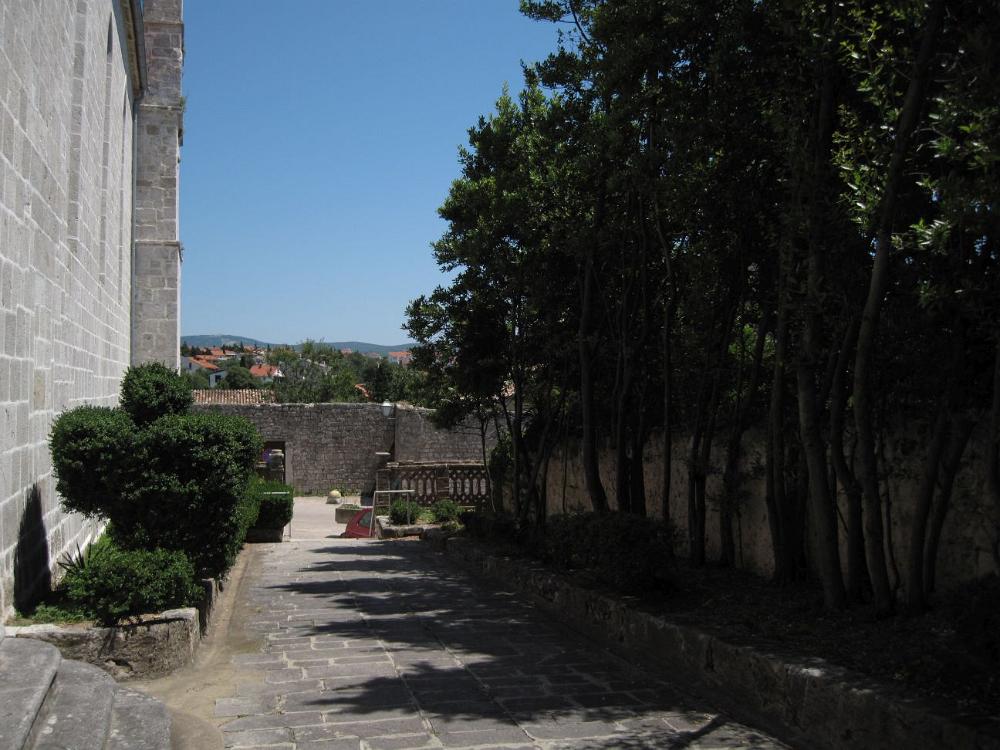 IMG 0762