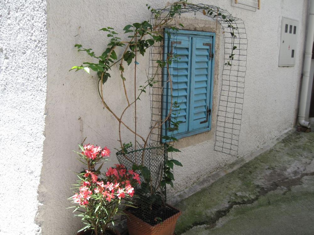 IMG 0775