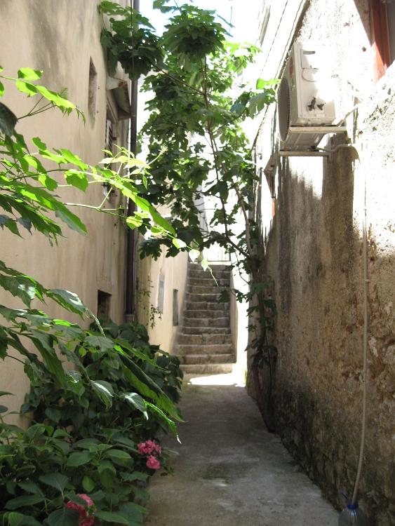 IMG 0777