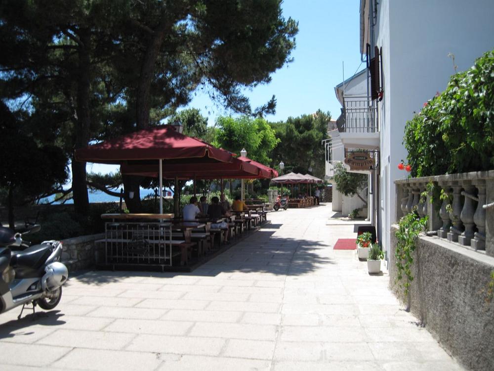IMG 0787