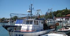 IMG 0728