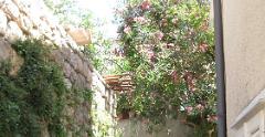 IMG 0737