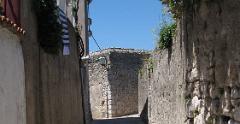 IMG 0748