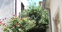 IMG 0774