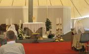 IMG 7882