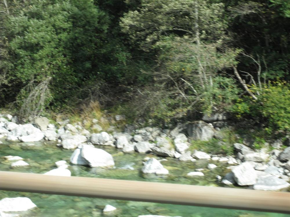 IMG 0960
