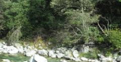 IMG 0960