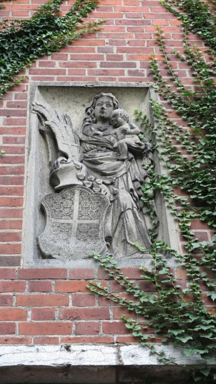 IMG 2669