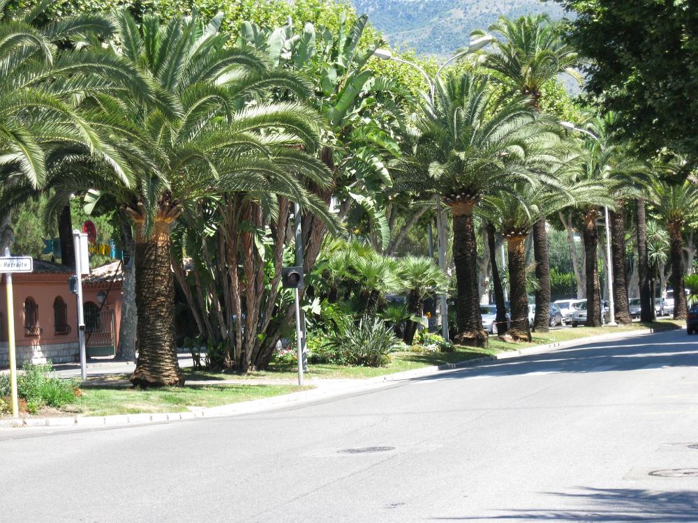 Südfrankreich (186)