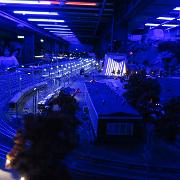 IMG 5750