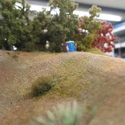 IMG 5765
