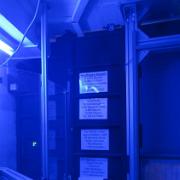 IMG 5805