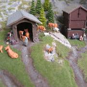 IMG 5824