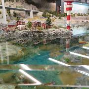 IMG 5880