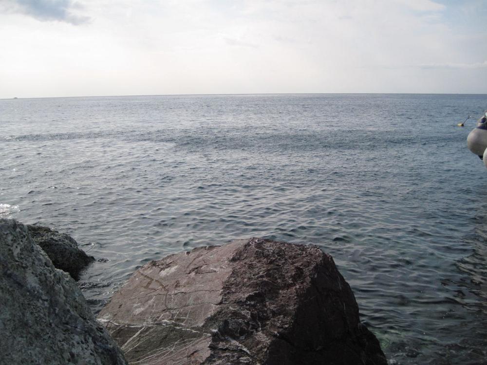 IMG 4356