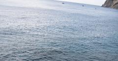 IMG 4348