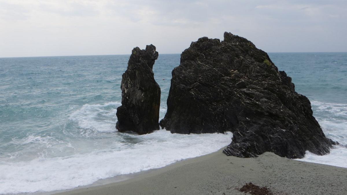 IMG 0558