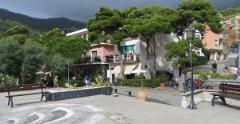 IMG 0542