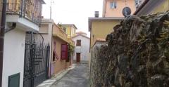 IMG 0555
