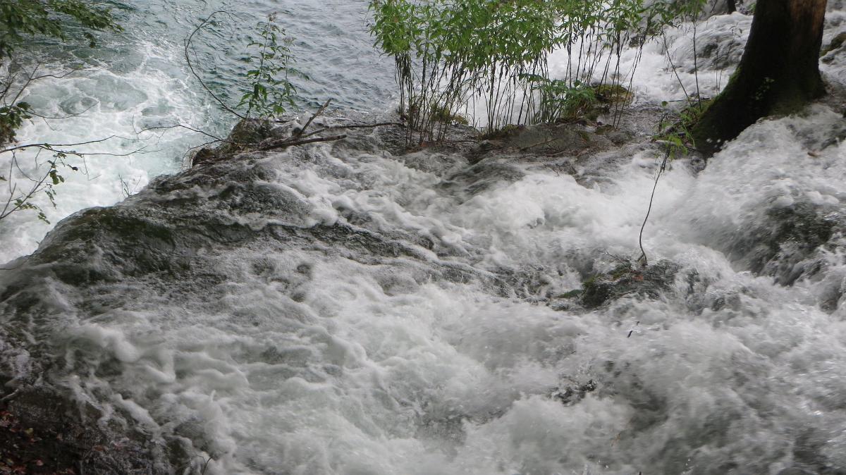 IMG 7706
