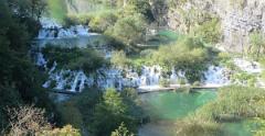 IMG 7671