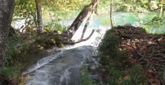 IMG 7734