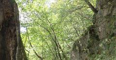 IMG 7746