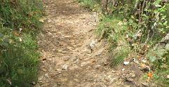 IMG 7748
